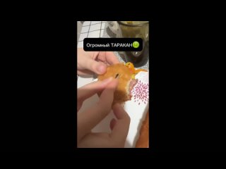 video by overheard noginsk